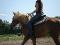 Mawiie_S