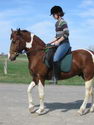 annie4333