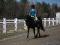 horsegurl
