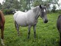 Julie22160