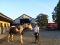 galop50