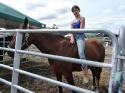 ilyhorse