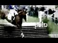 Relashion between a horse & rider ... WOOOW! Ça...