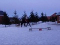 Mes débuts en saut avec mon cheval.. conseils ??