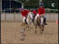Le horse - ball, une discipline super ! 