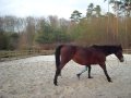 Vrai video du campo monté ^^