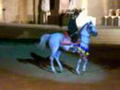 arabe qui danse