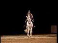 Spectacle equestre Tarbes -  Numéro complet de la...