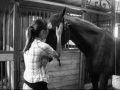 Mon gros loulou que j'aimeeeeeeeeeeeeeeeeeeeee