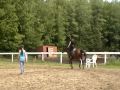 Moi et Merlin, 1e cours.