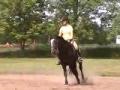Dressage : De Montem Rubi Math et moi ( épaule en dedans+appuyer au...