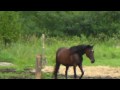 Joka et Punky qui font les folle dans leur pr&eacute;!
