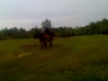 Galop a crue pour la deuxième fois trop hot 