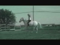 Je rêvais de galoper avec mon cheval sans bride, ni mors, ni licol,...