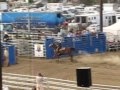 Petit vidéo basique que j'ai fait sur le...