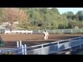 Moi et Fay a Bromont ! Parcours de Chass Poney Samedi ! Comm ?