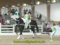 Spectacle de voltige j'adore cette vidéo 