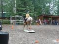 Formation de TREC &agrave; l'&eacute;curie Don Quichotte au Saguenay, juin 2010
