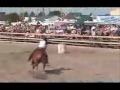 et ma belle juement encor s au grand prix de barils a ladoré
