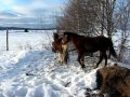 L'arrivée de Tonnerre le 10 janvier 2011