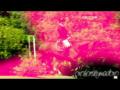 WOW ! je capote sur ce video! (L)