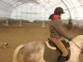 Curioso en dressage aujourd'hui, je sais que je...