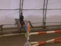 classe équitation ... on essaie d'être des hunters !