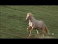J'aime beaucoup cette video :)