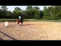 Baril pour le fun avec mon cheval