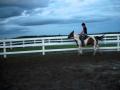 premier galop pour moi avec chicco , j'ai besoin de pratiquee , vite...