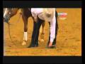 Shawn Flarida au Jeux Équestre Mondiaux 2010 au Kentucky avec 'RC...