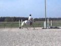 Moi et Hercule le 17 juillet 2011, première compétition de saut et la...