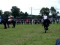 De magnifique frison présenté à Tavigny à la fête du cheval