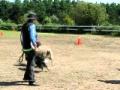 Rodeo de mouton 2e prise