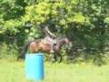 galop lors de mon cours. commentaires ? je trouve que au début c'est...