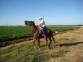 hemm mesemble que le cheval naime vraiment pas ca du tout