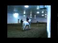 l'équitation et moi depuis le commencement 