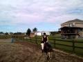 dans mes debut western avec un cheval anxieux ......