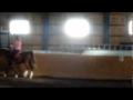 Changement d'attitude au travail pour Cybelle (elle se place et...