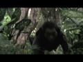 lost bande annonce saison 5