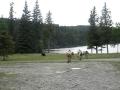 courageux les petits chevaux