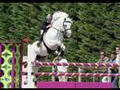 Dexter Leam Pondi et Black devil  deux double poneys de légende!