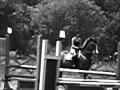 schooling cemi