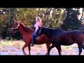 mon cheval et moi