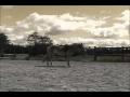 Votre cheval peut faire ca ?