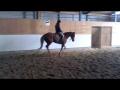Changement de pied; Ginger