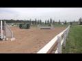 Hunter - Ma nouvelle jument - Laisser un commentaire!