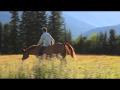 A horse never lies , c'est vrai et j'adore ce video ! :) 
