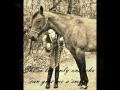 Ma jument Lune, quarter horse de 4 ans