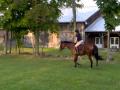 la petite butte de everwood stables!cyrano est le...